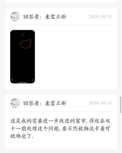 这是用户東雲正樹在2024年10月12日发布的两条内容：第一条是一张手机屏幕截图，黑色画面中用红圈标注出窗帘需要改进的部位；第二条是配套的文字说明，明确表示这是需要进一步改进的窗帘，必须赶在双十一前处理好问题，避免因物流拥堵导致延误，字里行间透露出对物流时效的担忧。