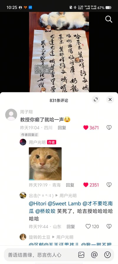 图片为社交媒体截图，展示了一张用户发布的照片：一只黑白相间的猫咪趴在木质桌面上，身旁放着一幅竖卷书法作品，字迹潦草奔放，内容包含“哈哈”“莫耶峰”“哦笑”等趣味字样。照片下方是评论区，其中用户“周子翔”的评论“教授你癫了就哈一声😜”获得3671个点赞，作者“用户光明”以一张猫咪头像回复，引发其他网友跟风互动，整体氛围轻松搞笑。