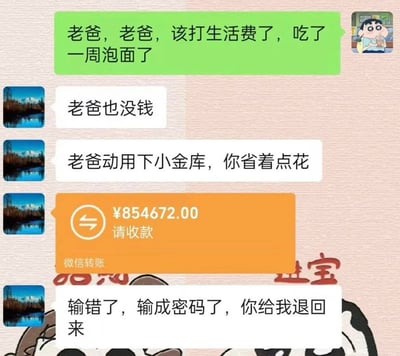 这张图是一组微信聊天截图形式的梗图。孩子说自己吃了一周泡面请求打生活费，老爸本说没钱，接着又说帮忙动用“小金库”，突然发来854672元的巨额微信转账，随后又称是“输错了，输成密码了，让孩子把钱退回来”。通过极端金额和反转的搞笑对话制造荒谬幽默，属于生活费梗与反转梗的结合。
- 双关/暗示：笑点在于荒谬的转账金额与“输错成密码”这种极不可信的借口，极具反差感，让人忍俊不禁。