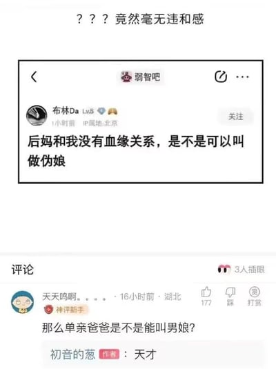 图片为社交媒体截图，展示了来自“弱智吧”的一则搞笑帖子及评论。顶部文字“??? 竟然毫无违和感”引出内容，主体是用户“布林Da”发布的帖子：“后妈和我没有血缘关系，是不是可以叫做伪娘”，下方有用户“天天鸣啊啊...”的神评：“那么单亲爸爸是不是能叫男娘?”。整体通过对“伪娘”一词的曲解制造笑点，展现网络社区的荒诞幽默风格。