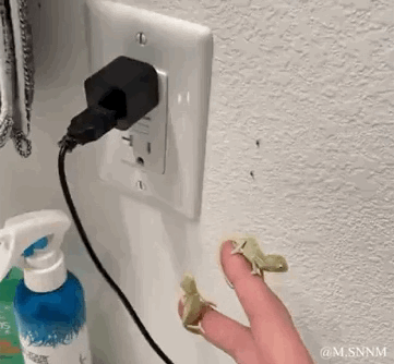 这是一个利用视觉错位效果制作的动态GIF图，画面中一只手的两根手指前端被编辑上了小青蛙的头部，手指轻微晃动时，看起来仿佛是两只小青蛙挂在手指上、咬着手指的趣味场景。背景是室内的浅色墙面，墙上有一个插着黑色充电线的白色插座，旁边还放着一瓶蓝白配色的按压式洗手液，整体通过P图改编制造出荒诞搞笑的视觉效果。
