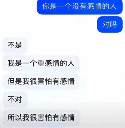这是一张对话式梗图，上方蓝色对话气泡中写着‘你是一个没有感情的人’和‘对吗’，下方白色对话气泡回应‘不是’‘我是一个重感情的人’‘但是我很害怕有感情’‘不对’‘所以我很害怕有感情’，展现了一种重感情却又害怕感情的内心矛盾状态。