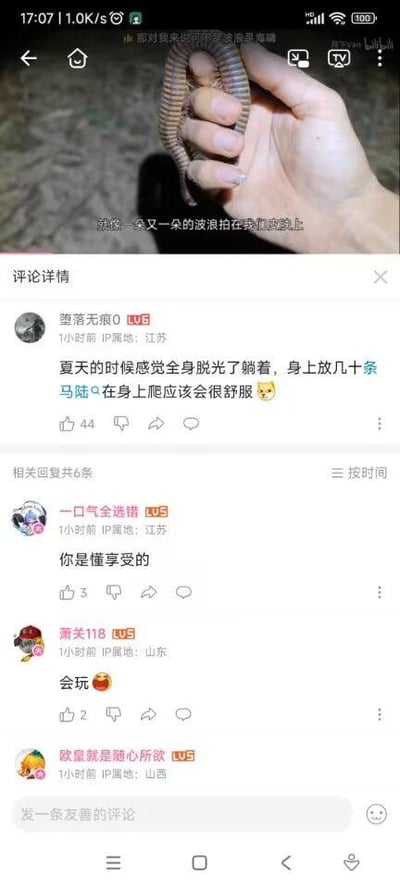 这是一张哔哩哔哩（B站）的视频播放界面截图，上方视频画面中一只手握着一条马陆，配文将马陆爬动的触感描述为“就像一朵又一朵的波浪拍在我们皮肤上”；下方评论区里，IP属地为江苏的网友“堕落无痕0”留下奇葩脑洞评论：“夏天的时候感觉全身脱光了躺着，身上放几十条马陆在身上爬应该会很舒服😺”，随后IP属地同为江苏的网友“一口气全选错”回复“你是懂享受的”，IP属地山东的网友“萧关118”回复“会玩😎”，还有一位山西网友的评论框为空，整体呈现出网友在猎奇类视频下的趣味互动氛围，脑洞清奇引人发笑。