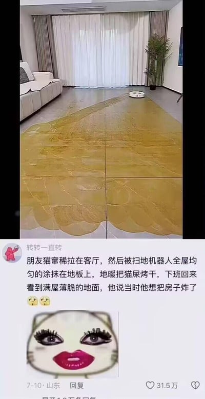 这是一个搞笑又崩溃的养猫倒霉事件：网友的朋友家的猫在客厅窜稀，扫地机器人将猫屎均匀涂抹在全屋地板上，家里的地暖又把猫屎烤干，房主下班回家看到地板像铺满了“薄脆”，当场心态崩溃想炸房子。图中上方是被猫屎覆盖的客厅地板实拍，下方是网友“转转一直转”的文字描述，搭配一个画着浓妆的搞怪猫表情包，生动传递出房主的崩溃和事件的荒诞感。