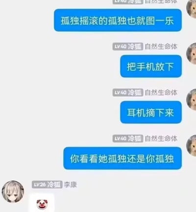 这是一段国内群聊的聊天记录截图，用户「LV40冷狐 自然生命体」连续发送四条消息，以扎心的方式调侃沉迷《孤独摇滚》、沉浸在角色孤独感中的网友：先点明作品里的孤独只是娱乐，接着让对方放下手机、摘下耳机，最后灵魂拷问「你看看她孤独还是你孤独」，戳中屏幕前独自沉浸在二次元内容中的人的真实状态。最后用户「LV26冷狐 李康」仅回复了一个尴尬假笑的狗头表情包，精准传递出被戳中心事的无奈与窘迫。