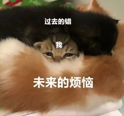 图片中几只小猫咪紧紧依偎在一起，中间一只小猫的头顶被黑色猫咪覆盖，黑色猫咪身上标注“过去的错”；中间小猫的脸部标注“我”，眼神无辜又略带无奈；下方橘色猫咪身上标注“未来的烦恼”。整体画面通过猫咪的堆叠姿势和文字标注，形象地表达了“我”被过去的错误和未来的烦恼夹在中间的状态，充满生活共鸣感。