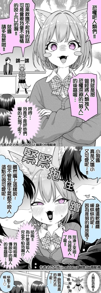 这是一篇短篇反差萌漫画：狼耳转学生在教室自我介绍时，摆出凶狠的表情放狠话，自称是狼人的后裔，要让人类恐惧自己，还说瞧不起她就会被咬；结果同学们完全不怕，反而觉得她娇小软萌，直接抱住她蹭，女生瞬间脸红慌张，嘴上还在放狠话但没人在意；最后女生吓得躲到高处，大喊人类好恐怖，同学则温柔地让她下来。整体通过装凶的软萌狼耳娘和同学们的反应，制造出搞笑又可爱的反差效果，没有双关或谐音梗。