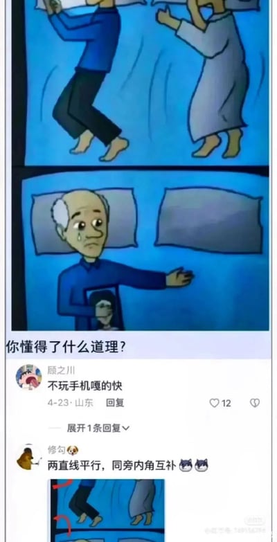 这是一张由连环漫画和小红书评论截图拼接的图文内容。连环漫画分为两格：第一格描绘一对老年夫妇各自拿着枕头准备休息；第二格中，老年男性躺在床上，枕边空无一人，他眼含泪水伸手向空枕头的方向，怀里抱着老年女性的照片，表现出丧偶后的孤独与悲伤。下方配文“你懂得了什么道理？”，接着是两条小红书用户的搞笑评论：用户“顾之川”评论“不玩手机嘎的快”，获得12个赞；用户“修勾”用数学梗评论“两直线平行，同旁内角互补”，还配了标注老两口脚部位置的示意图，用数学知识玩梗，消解了漫画的悲伤氛围，形成反差搞笑效果。