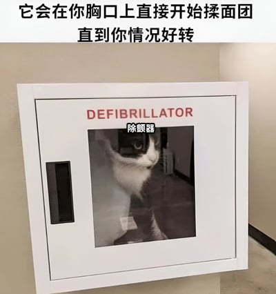 图片展示了一个白色的除颤器（DEFIBRILLATOR）柜子，柜门玻璃内侧本该放置医疗设备的位置，却有一只黑白相间的猫咪正向外张望。图片上方配有文字：“它会在你胸口上直接开始揉面团直到你情况好转”，通过猫咪常见的“踩奶”（揉面团）行为，幽默调侃将其替代专业除颤急救的场景，营造出轻松搞笑的效果。