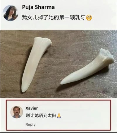 这是一张社交媒体互动搞笑截图，上方为用户Puja Sharma发布的动态，配文称自己的女儿掉了第一颗乳牙，搭配的实拍图却是两枚尺寸远超人类正常乳牙、形态类似动物獠牙的白色长尖牙；下方是用户Xavier的脑洞评论，内容为“别让她晒到太阳”并搭配合十表情，玩了西方流行文化中吸血鬼长有尖牙、惧怕阳光的设定梗，意料之外的回复形成强烈反差，制造出喜剧效果。