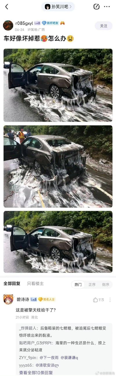 这是百度贴吧「孙笑川吧」的用户发帖内容，楼主发布三张汽车被追尾后的现场实拍图：一辆银灰色轿车车尾严重破损，大量透明粘稠的粘液从车尾涌出，路面上散落着不少七鳃鳗。楼主配文“车好像坏掉惹😫怎么办😫”表达无奈。评论区热门回复玩梗调侃“这是被擎天柱给干了？”，另有网友科普，是后备箱装载的七鳃鳗因追尾受惊，喷出大量粘液才形成这一猎奇场景。