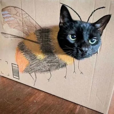 一只黑猫的头部从纸箱的孔洞中探出，纸箱表面被手绘上了蜜蜂的身体——黄色和黑色相间的条纹胸腹部、透明的翅膀、细长的腿部以及两根触角，巧妙地与黑猫的头部结合，形成了“猫咪蜜蜂”的趣味形象。黑猫有着圆溜溜的绿色眼睛，眼神中带着一丝好奇和惊讶，正直勾勾地盯着镜头。背景是木质地板，整体画面充满创意和萌趣。