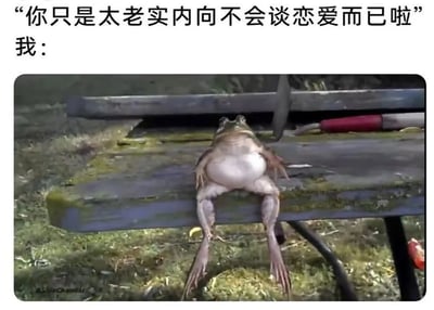 图片上方文字为'你只是太老实内向不会谈恋爱而已啦'，下方标注'我：'并配有一只青蛙仰躺在木板上、四肢自然下垂的照片，通过青蛙慵懒无助的姿态幽默表达对他人评价的无奈回应。