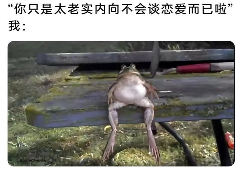 青蛙