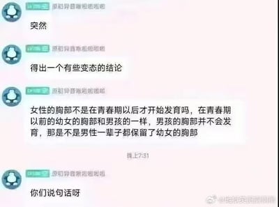 这是一张聊天记录截图，显示用户"原初异音噼啦啪啦"发布的一系列消息，内容是关于男性和女性胸部发育差异的讨论，提出了一个关于"男性一辈子都保留了幼女的胸部"的观点。
