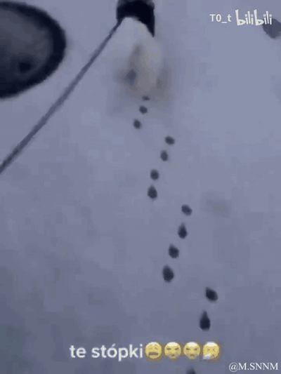 这是一段动态图，画面里有水滴从上方的管道状物体滴落，落在雪地上的水滴排列成了一串类似小脚印的形状，看起来十分巧合又可爱。图下方配有波兰语文字“te stópki”（意为“这些小脚丫”）和三个笑哭的表情，用拟人化的视角调侃这个巧合的水滴痕迹。