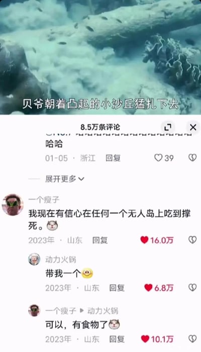 这是一张竖屏手机格式的社交媒体短视频截图，上方是荒野求生类视频的画面，配文“贝爷朝着凸起的小沙丘猛扎下去”，展现的是知名求生专家贝爷的求生场景；下方是该视频的评论区，共有8.5万条评论，其中一条简短评论“哈哈”获得39个赞，还有用户“一个瘦子”和“动力火锅”的搞笑互动：“一个瘦子”发布评论“我现在有信心在任何一个无人岛上吃到撑死。😼”，获得16.0万赞，用户“动力火锅”回复“带我一个😜”，获得6.8万赞，“一个瘦子”又回复“可以，有食物了😼”，获得10.1万赞，网友借贝爷荒野求生找食物的场景玩梗，将“动力火锅”调侃成可食用的“食物”，制造出搞笑的效果。