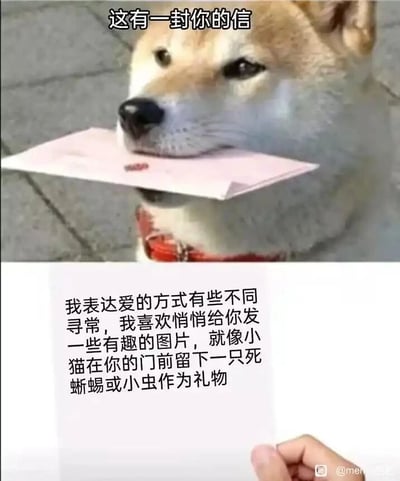这是一张上下结构的图文混排梗图，上半部分是一只表情平静的柴犬，嘴里叼着一封粉色的信封，信封上方配有文字“这有一封你的信”；下半部分是一只手拿着信的内页，内页的文字内容为“我表达爱的方式有些不同寻常，我喜欢悄悄给你发一些有趣的图片，就像小猫在你的门前留下一只死蜥蜴或小虫作为礼物”。这张图巧妙地将人类分享有趣图片的行为，类比为猫咪向主人送猎物的独特示爱习性，用幽默的口吻表达了一种另类却充满真心的友好与喜爱，让原本普通的分享行为变得生动有趣，充满了网络梗图的趣味性。