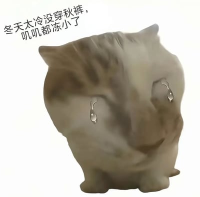 图片中是一只表情委屈的猫咪形象，双眼流下大滴泪珠，显得十分可怜。左上角配有文字：'冬天太冷没穿秋裤，叽叽都冻小了'，用幽默的方式吐槽冬天寒冷没做好保暖的后果。整体风格轻松搞笑，带有网络流行梗的调侃意味。