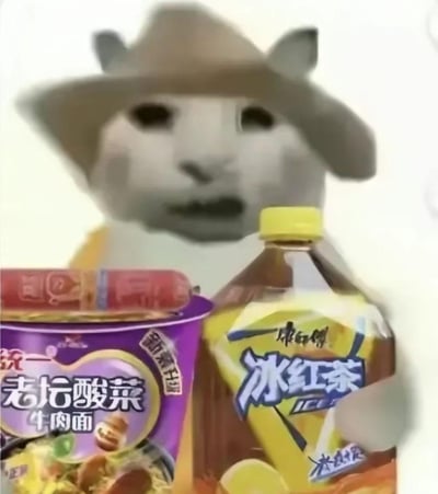 图片中展示了一个戴着帽子的神秘动物脸，表情看起来有些惊讶或困惑。它面前摆放着两种常见的食品：紫色包装的统一老坛酸菜牛肉面和黄色包装的康师傅冰红茶。这种不寻常的组合创造出一种荒诞又搞笑的视觉效果，典型的网络迷因风格。