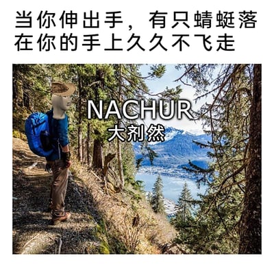 暂无描述