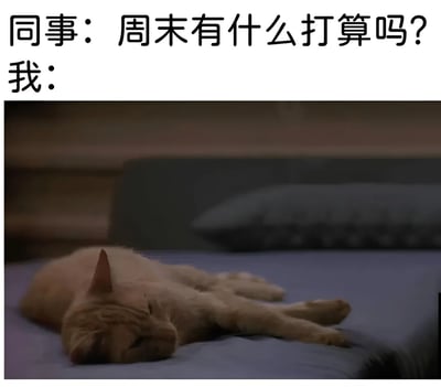 这是一张职场相关的搞笑梗图，上方文字为“同事：周末有什么打算吗？”和“我：”，下方配图是一只橘猫正四仰八叉地躺在床上熟睡，表情放松，四肢伸展。通过猫咪慵懒睡觉的画面，幽默地表达了打工人面对同事询问周末计划时，只想彻底放松休息、不愿安排活动的真实心态，引发职场人士的共鸣。