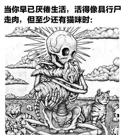 这张梗图用黑白插画风格描绘了一个疲惫到极致、如同骷髅行尸走肉的人物，正紧紧抱着一只猫，画面中还有其他可爱的小猫点缀。配文表达了人在生活中丧到极致、活得像僵尸时，至少还有“猫咪”这样的治愈存在支撑着内心。整体调性丧中带暖，传达养宠物（尤其猫）的安慰与救赎感，形成强烈的情感反差和代入感。双关：画面上的“骷髅”显现出极度丧，和实际生活被掏空的现代人情绪遥相呼应，猫变成唯一的情感寄托。