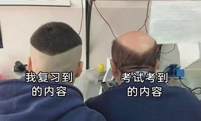 这张梗图通过两个人的发型对比，形象地表达了学生复习到的内容和考试考到的内容之间的巨大落差。左边年轻人头发浓密，代表“我复习到的内容”，右边中年人秃顶，代表“考试考到的内容”。画面具有夸张、幽默和自嘲色彩，非常契合学生群体对考试的常见吐槽。

图片中利用了发型的反差来制造幽默效果，带有明显的视觉双关和漫画化夸张。