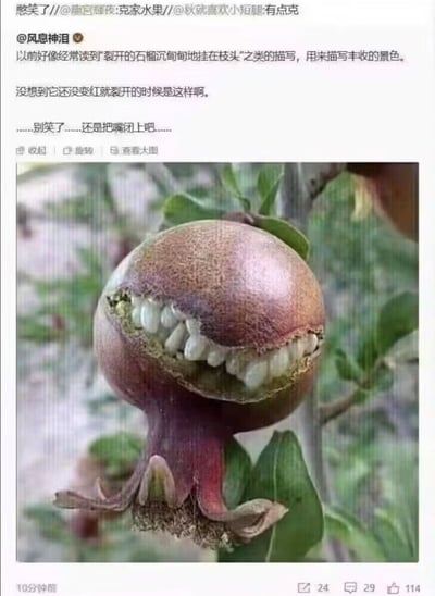 这是一张在微博流传的趣味P图梗图，原本未成熟就裂开的石榴被网友P上了一排人类的大白牙，让石榴看起来像是在咧嘴憨笑，充满滑稽感。搭配微博用户@风息神泪的文案，对比文学作品中成熟裂开的石榴象征丰收的意象，这个被改造后的石榴呈现出搞笑的反差效果，还被其他网友转发调侃为“克家水果”“有点克”，整体氛围轻松搞笑。