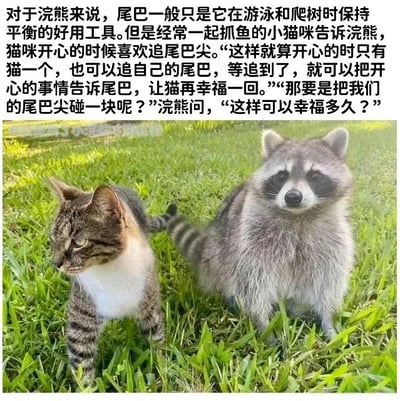 暂无描述