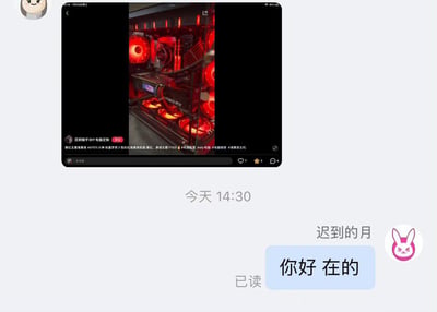 这是一张竖屏手机格式的聊天记录截图，呈现用户与DIY电脑定制商家的对话开端：对方发送了一段黑红主题海景房DIY电脑主机的视频内容，主机配备带红色灯光的风扇与RTX系列显卡，配文标注了主机配置为4070TI火神等，还附带#电脑配置 #diy电脑 等相关话题；随后用户在14:30回复消息“你好 在的”，该消息显示为已读状态，整体是日常咨询电脑定制商家的普通场景。