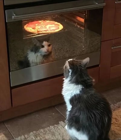 一只灰白相间的猫咪正蹲坐在厨房的烤箱前，耳朵竖起，全神贯注地透过玻璃门盯着里面烘烤的披萨。披萨上有红色酱料和肉片，烤箱灯光照亮食物的同时，也让猫咪的倒影清晰映在玻璃上，形成对称画面。猫咪表情专注又期待，仿佛在耐心等待美食出炉，整个场景温馨治愈，展现了宠物对食物的可爱反应。