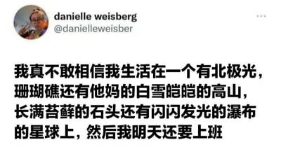 这是一张社交媒体截图，显示用户danielle weisberg（@danielleweisber）的帖子。内容用中文表达了对生活在拥有北极光、珊瑚礁、白雪皑皑的高山、长满苔藓的石头和闪闪发光的瀑布等自然美景的星球上，却仍需在明天上班的无奈与吐槽，形成了自然奇观与日常工作之间的幽默对比。