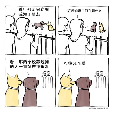 这是一幅四格连环卡通漫画，通过双向视角制造趣味反转效果。前两格以人类的视角展开，两位没养过狗的人趴在栏杆上，好奇地观察两只互动的狗狗，感慨它们成为朋友，还好奇它们的对话；后两格切换到狗狗的视角，两只狗狗正看着栏杆上的人类，调侃这两个没养过狗的人一直盯着它们看，觉得人类“可怜又可爱”。整个作品利用人和狗的视角错位，营造出轻松幽默的氛围，精准捕捉了非养宠人群对宠物互动的好奇，以及宠物视角下对人类的趣味解读。