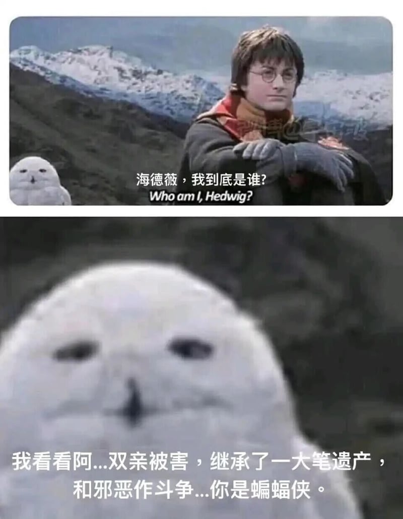 海德薇