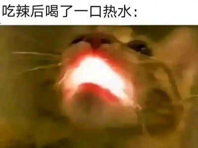 暂无描述