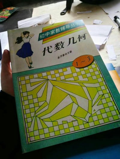 这是一张网友创作的搞笑P图，将数学界大师格罗滕迪克的高深数学著作《代数几何》，套用到了普通初中家教辅导丛书的封面模板上。封面标注为「初中家教辅导丛书 代数几何 1~3」，编者署名格罗滕迪克，搭配卡通女孩和几何图案，形成强烈的反差感——格罗滕迪克的代数几何是数学领域的专业高深内容，完全和初中辅导书的基础定位不符，以此制造出荒诞、搞笑的调侃效果，玩数学圈的反差梗。