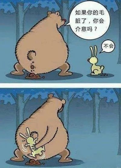 这是一张搞笑动物漫画表情包。熊询问兔子如果毛掉了会不会介意，兔子表示不会，结果下一格熊直接把兔子当作厕纸用来擦屁股，形成幽默、意外的反转桥段。全图带有动物拟人、厕所恶趣味和“无所谓”网络心态的双关表现，是流行的斗图素材。