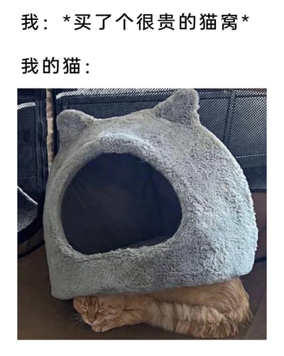 这是一张充满趣味的图文混排梗图，上方文字分为两部分，第一部分以“我：*买了个很贵的猫窝*”表明铲屎官为猫咪精心准备了昂贵的用品，第二部分“我的猫：”引出下方的实拍画面：一个造型可爱、带有猫耳设计的灰色毛绒猫窝放置在表面，而一只橘色猫咪却闭着眼睛，惬意地蜷缩在猫窝的下方睡觉，完全没有使用这个看起来舒适的猫窝。图片生动展现了猫咪不按常理出牌、不爱使用铲屎官精心准备的用品的迷惑行为，精准戳中了众多养猫人的共鸣，充满生活趣味。