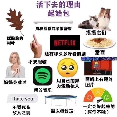 这是一张采用九宫格布局的图文混排静态图，顶部配有标题“活下去的理由起始包”。图中集合了15种不同的元素，每个元素都搭配对应的中文文字说明，涵盖了生活里的细碎美好、情感牵挂与正向信念：包括踩脆树叶的触感、用棉签掏耳朵的舒适体验、依偎在一起的猫狗带来的治愈感、Netflix平台的精彩剧集、美味的意面、Spotify的新音乐、蹦床的乐趣等生活小确幸；也有“不要服输”“用自己的努力激励他人”“一定会好起来的（深信不疑）”这类正向心理暗示；还有“妈妈会难过”“不要死在敌人之前”这类带有情感牵挂与胜负欲的激励话语，以及网络上有趣的图片带来的快乐。整体风格温暖治愈，旨在通过这些具体的生活细节与情绪支撑点，给情绪低落的人提供继续生活的动力，传递对生活的正向期许。