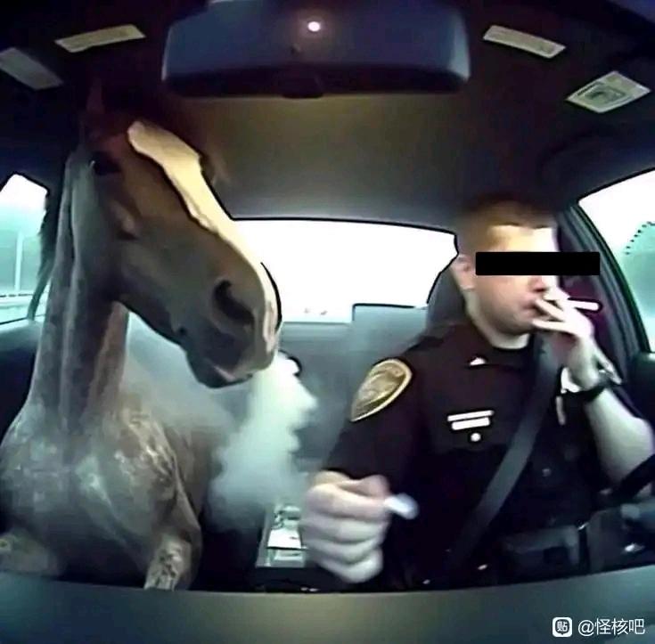 马