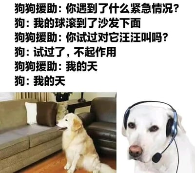 图片由左右两部分多图拼接而成，上方配有搞笑对话文本，属于图文混排。左侧是一只金毛犬坐在木地板上，扭头望向沙发，表情带着期待与焦急；右侧是一只戴着黑色耳机和麦克风的白狗，眼神严肃，仿佛专业客服。对话内容为：狗狗援助询问紧急情况，求助狗狗称球滚到沙发下，尝试汪汪叫无效后，双方同步感叹“我的天”。通过拟人化手法将宠物日常小事夸张为“紧急求助”，制造幽默反差效果。