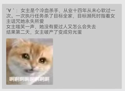 图片上方是一段关于冷血女杀手的文字故事：从业十四年的女杀手从未心软，一次任务中杀死目标全家后被濒死的目标诅咒"永失所爱"。女杀手嗤笑自己没有爱过不会失去什么，结果第二天却破产变成了穷光蛋。文字下方配有一张表情略显困惑的橘猫图片，猫的脸部下方有"啊啊啊啊啊啊啊"的文字叠加。这是一个利用文字反转和猫咪表情包结合的搞笑梗图，通过对"所爱"一词的双关（既指爱情也暗指金钱）制造幽默效果。
