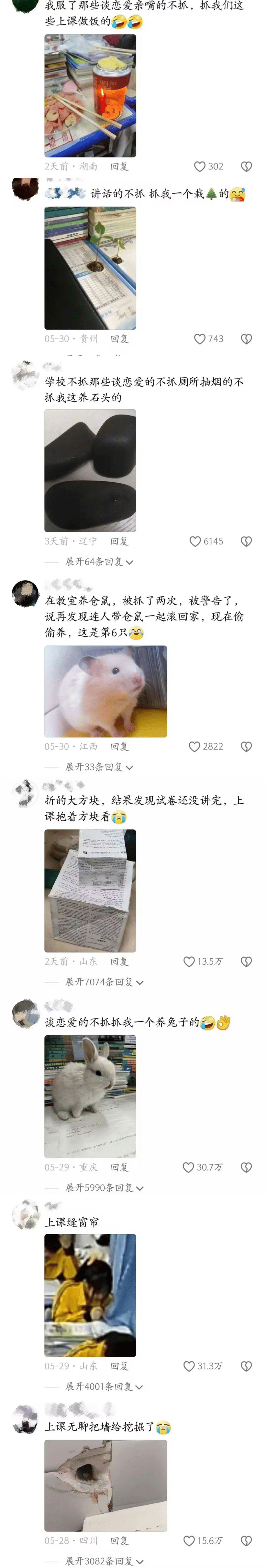 仓鼠