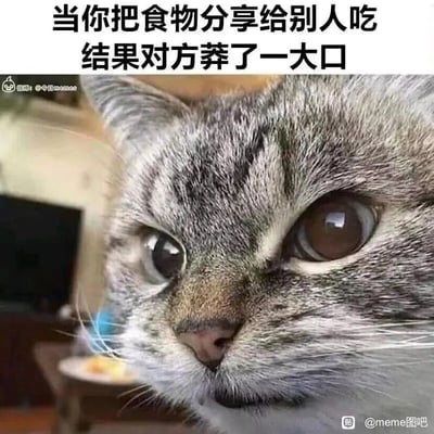 这是一张用来调侃日常小尴尬的搞笑表情包，图片上方配有文字“当你把食物分享给别人吃结果对方莽了一大口”，主体是一只狸花猫的面部特写，猫咪眼神瞪大，表情错愕又带着一丝心疼，精准还原了人们将自己珍视的食物分享给他人，却没想到对方毫不客气地吃了一大口时，内心那种后悔、心疼又无奈的复杂情绪，用动物的生动表情来共情这种生活里的小窘迫，十分贴切，容易引发网友共鸣。