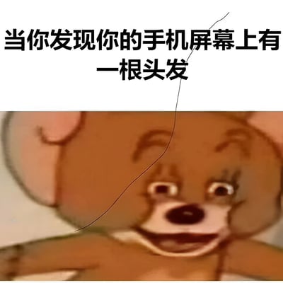 图片上半部分是黑色文字“当你发现你的手机屏幕上有一根头发”，下半部分是一个表情诡异的棕色泰迪熊玩偶特写。图片通过在泰迪熊面部叠加一根黑色曲线来模拟手机屏幕上的头发，配合玩偶夸张的表情，幽默地表现了人们发现手机屏幕上有异物时的抓狂反应。