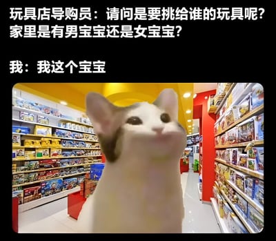 这张图片是一个幽默的梗图，上方是玩具店导购员和顾客的对话，导购员问："请问是要挑给谁的玩具呢? 家里是有男宝宝还是女宝宝?"，顾客回答："我这个宝宝"。下方图片是一只猫站在玩具店货架前抬头看的场景，猫的表情看起来很期待。图片通过将猫拟人化，幽默地表达了成年人也想给自己买玩具的心情。