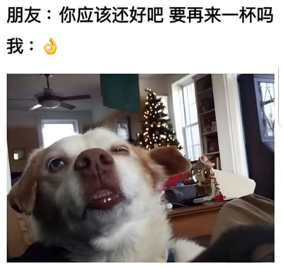 图片上方为对话文字：“朋友：你应该还好吧 要再来一杯吗 我：👌”，下方是一张真实狗狗的照片。狗狗表情开心，嘴巴微张，仰头看向上方，眼神略带迷离。背景中可见装饰有灯光的圣诞树、吊扇和窗户，营造出室内节日氛围。整体通过狗狗的表情与文字对话结合，幽默地表现出被朋友询问是否要再喝一杯时的轻松愉快回应，暗示可能处于愉快的社交饮酒场景中。