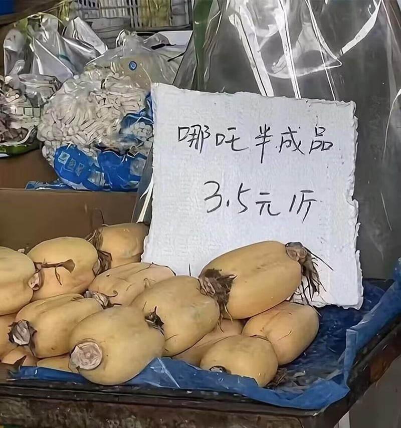《封神演义》《西游记》等中国神话作品