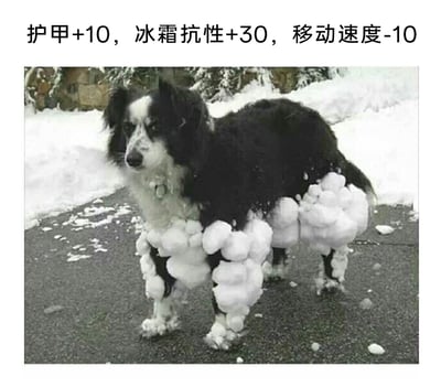 这是一张结合真实宠物场景与游戏梗的趣味图片。画面主体是一只黑白相间的疑似边境牧羊犬，它站立在冬季户外的融雪路面上，四条腿的毛发上都凝结堆积了厚厚的积雪，看起来像是给腿部套上了冰雪制成的厚重护甲。图片上方配有模仿电子游戏中角色属性加成的文字：“护甲+10，冰霜抗性+30，移动速度-10”，用玩家熟悉的数值化描述调侃狗狗腿上积雪带来的“实际效果”，既贴合画面场景，又充满脑洞和趣味性，生动表现出冬日户外宠物的有趣遭遇。
